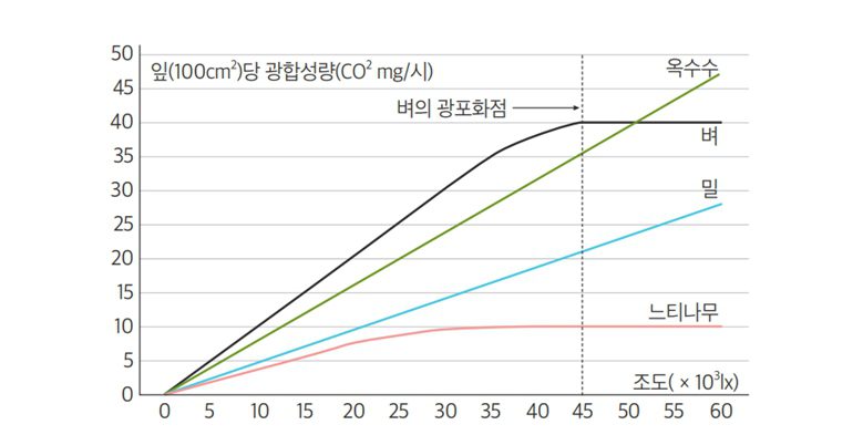 영농형태양광 농촌태양광 인성에너지
