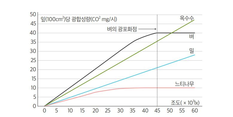 #영농형태양광 #농촌태양광 #인성에너지